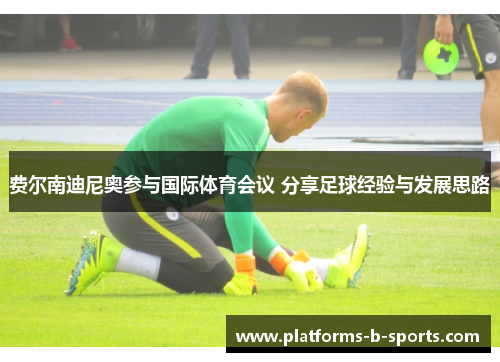 费尔南迪尼奥参与国际体育会议 分享足球经验与发展思路 费尔南迪尼奥参与国际体育会议 分享足球经验与发展思路